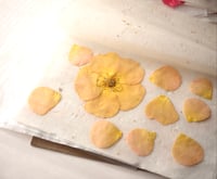 Image 2 of Medium drying cards for pressed flowers