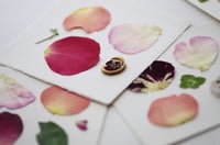 Image 4 of Medium drying cards for pressed flowers