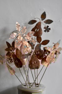 Image 3 of Copper pear