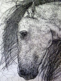Image 2 of Horse Head Wall Hanging