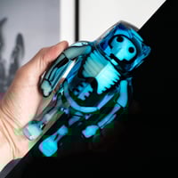 Image 1 of Anatoma Stranger - Frozen Hollow
