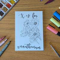 Image 1 of Paint your own greeting card - Xeranthemum