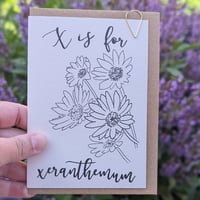 Image 2 of Paint your own greeting card - Xeranthemum
