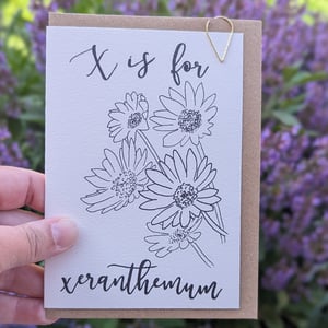 Image of Paint your own greeting card - Xeranthemum