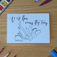 Image 1 of Paint your own greeting card - Venus fly trap