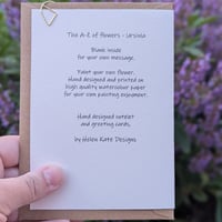 Image 2 of Paint your own greeting card - Ursinia