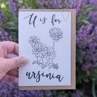 Image 3 of Paint your own greeting card - Ursinia