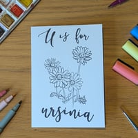 Image 1 of Paint your own greeting card - Ursinia