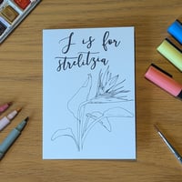 Image 1 of Paint your own greeting card - Strelitzia