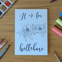 Image 2 of Paint your own greeting card - Hellebore