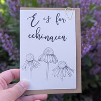 Image 2 of Paint your own greeting card - Echinacea