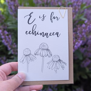 Image of Paint your own greeting card - Echinacea