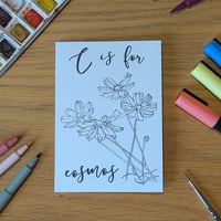 Image 1 of Paint your own greeting card - Cosmos