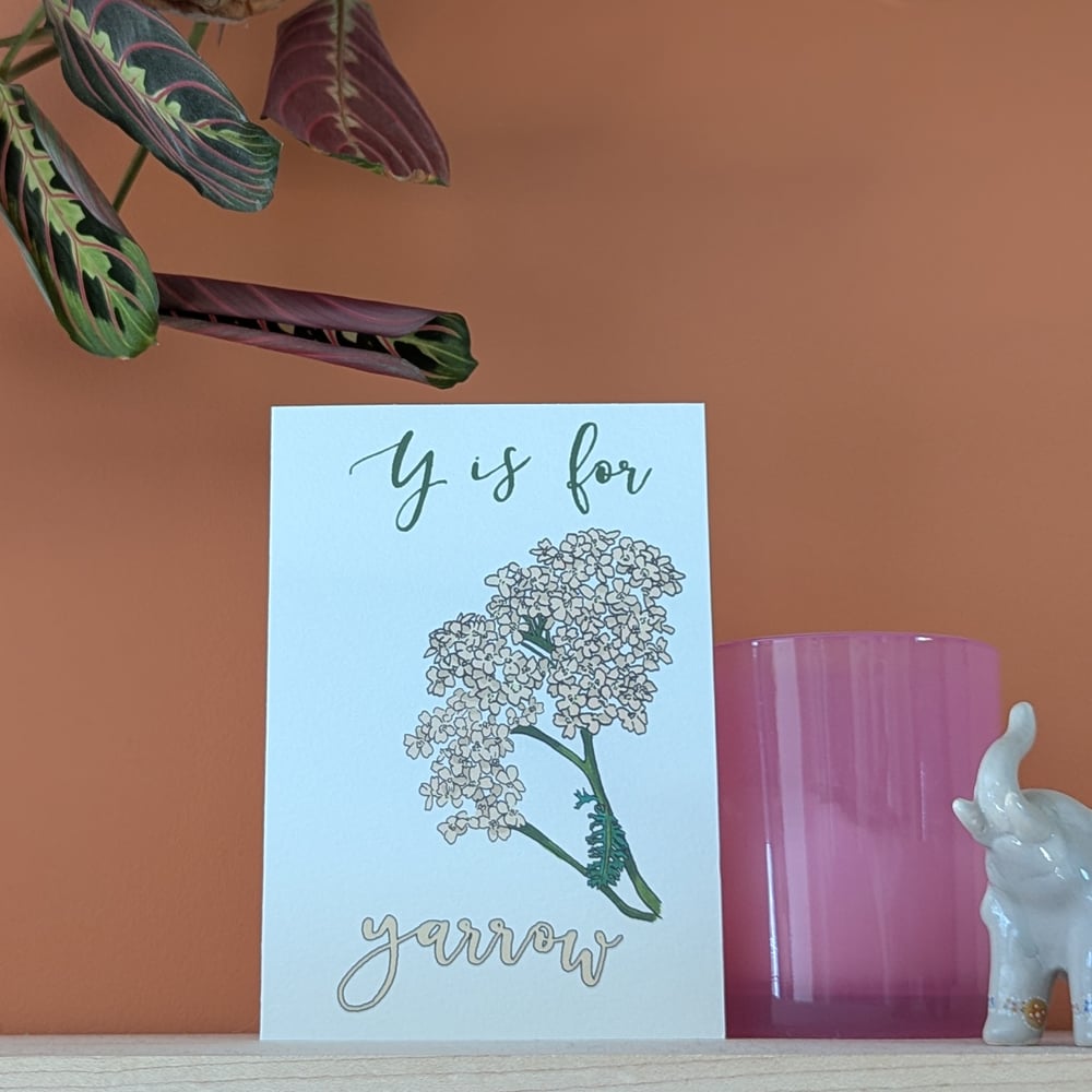 Image of Yarrow greeting card