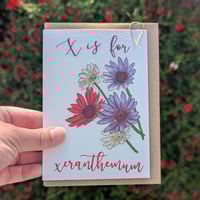 Image 1 of Xeranthemum greeting card