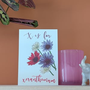 Image of Xeranthemum greeting card