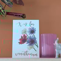 Image 2 of Xeranthemum greeting card
