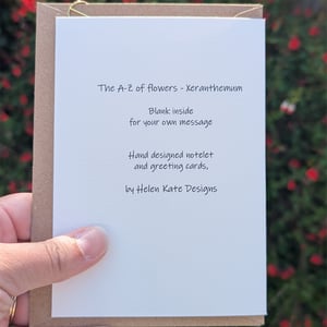 Image of Xeranthemum greeting card