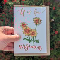 Image 2 of Ursinia greeting card