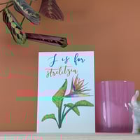 Image 1 of Strelitzia greeting card