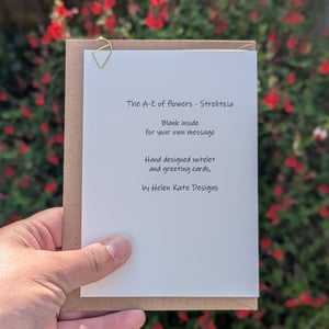 Image of Strelitzia greeting card