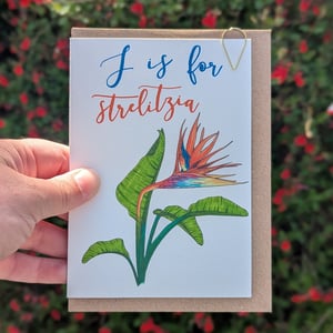 Image of Strelitzia greeting card