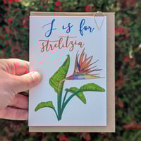 Image 2 of Strelitzia greeting card