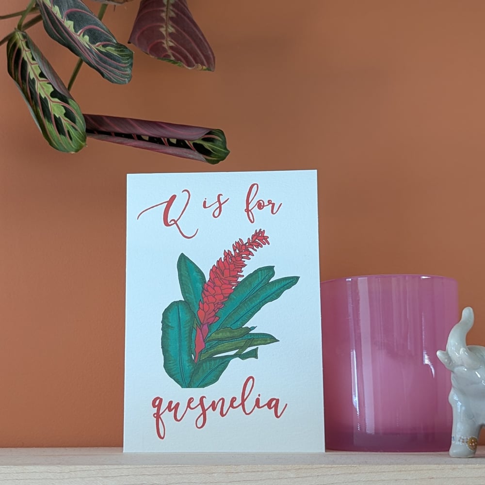 Image of Quesnelia greeting card