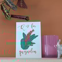 Image 1 of Quesnelia greeting card