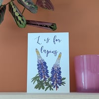 Image 1 of Lupins greeting card
