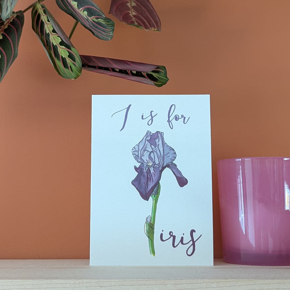 Image of Iris greeting card