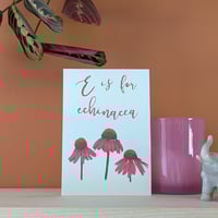 Image 1 of Echinacea greeting card