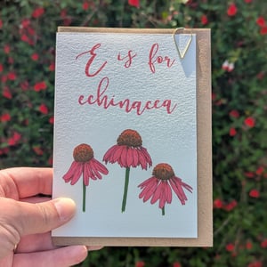 Image of Echinacea greeting card