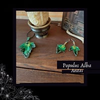 Image 1 of ☽ Populus Alba Aestas ☾