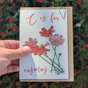 Image of Cosmos greeting card