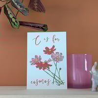Image 1 of Cosmos greeting card