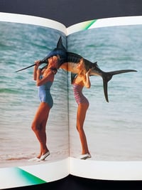 Image 5 of Jean-Daniel Lorieux - COCONUTS