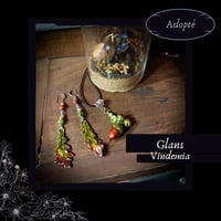 Image 1 of ☽ Glans Vindemia ☾