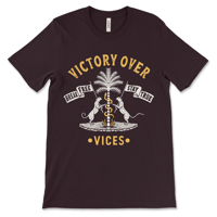 Image 2 of Victory Over Vices
