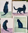 Standing cat ~ Original painting