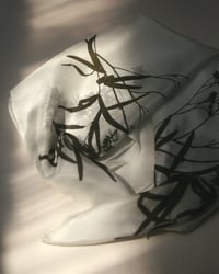 Image 4 of Silk scarf #002