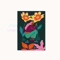 Carte Postale - Fleurs de coreopsis