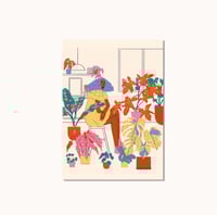 Carte Postale - House plants