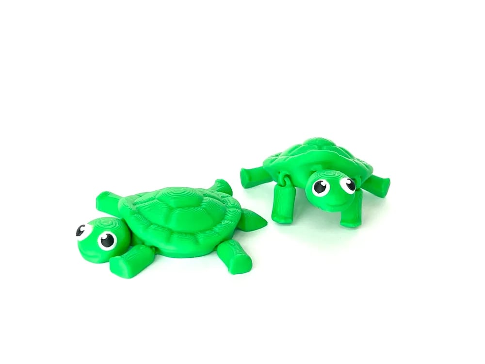Image of Turbo Turtle