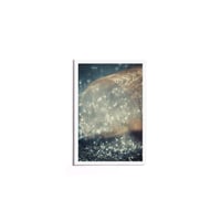 Image 9 of Postcard Pack