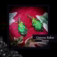 Image 1 of ☽ Quercus Aestas ☾