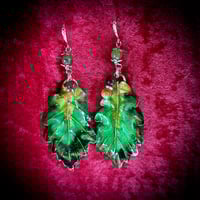 Image 4 of ☽ Quercus Aestas ☾