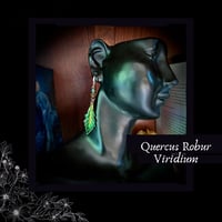 Image 1 of ☽ Quercus Viridium ☾