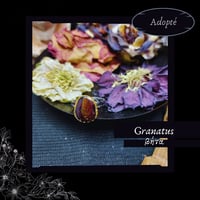 Image 4 of ☽ Granatus ☾
