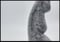 Image of slick drip in cloud | M